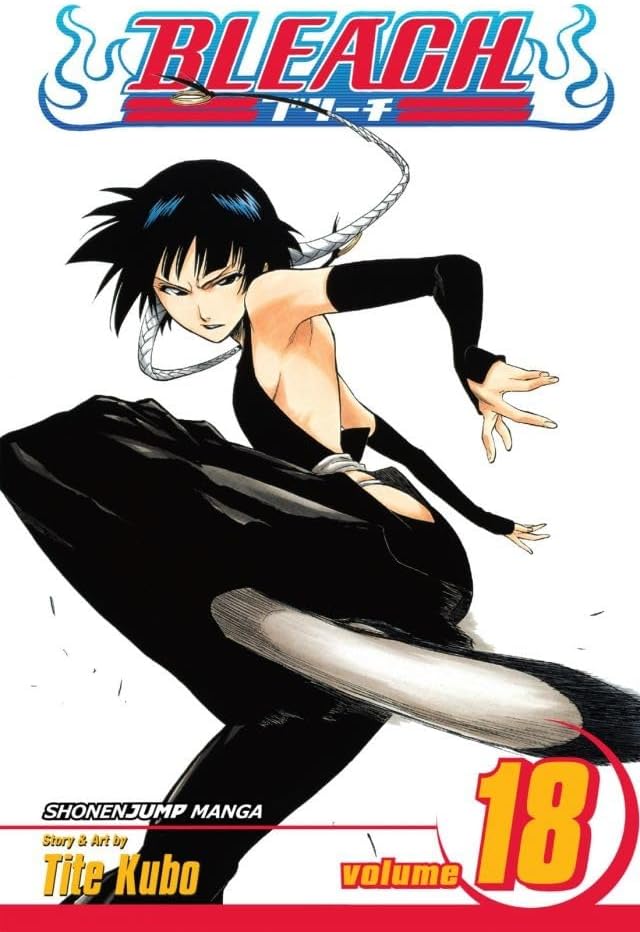 Amazon.com: Bleach, Vol. 15: Beginning of the Death of Tomorrow
